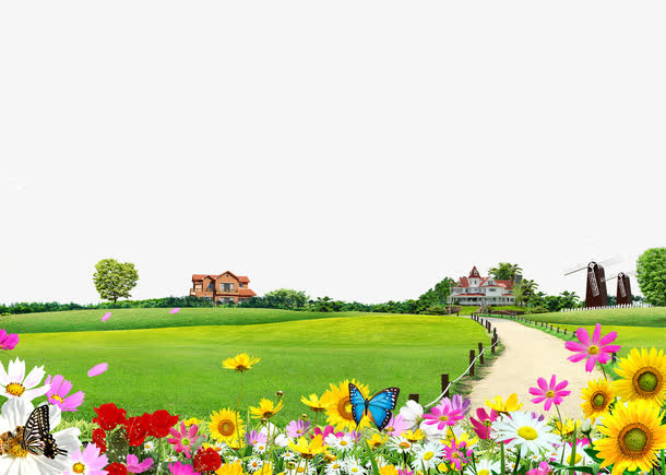 小路花草地免抠