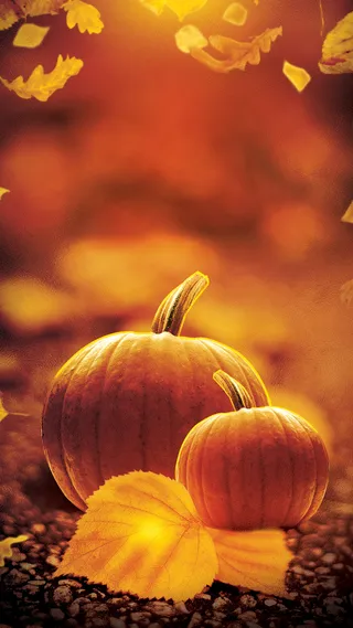 南瓜背景高清