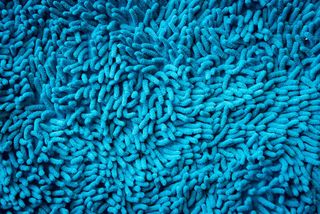 蓝色地毯摄影免抠