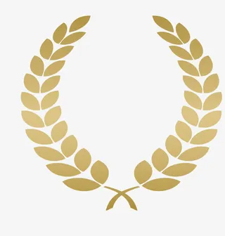 矢量橄榄叶边框免抠