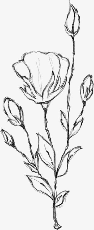 水墨花朵元素48免抠动植物植物元素