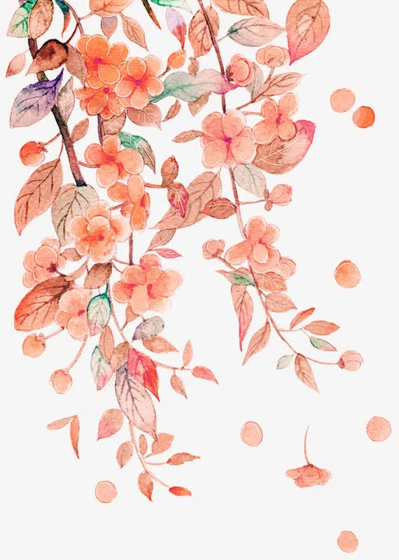 手绘花枝免抠