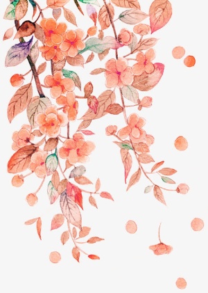 手绘花枝免抠