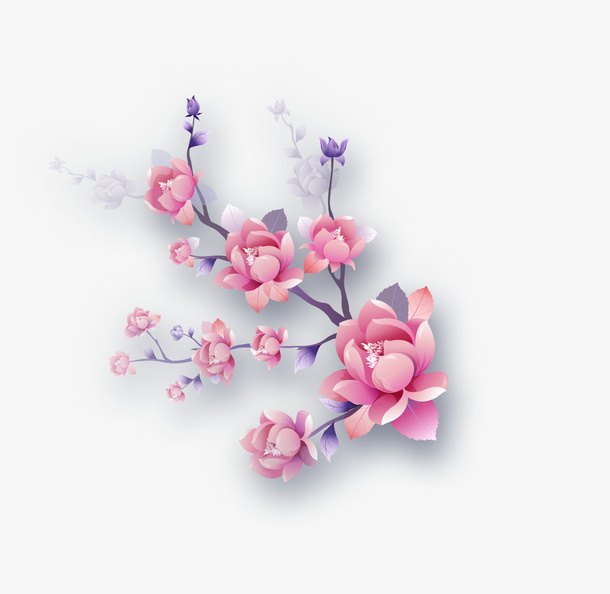 梅花免抠