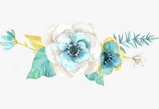 手绘水彩花卉免抠