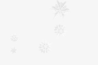 白色雪花底纹免抠