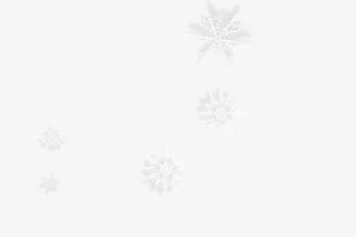 白色雪花底纹免抠