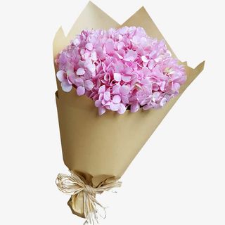 粉色绣球花束免扣素材免抠