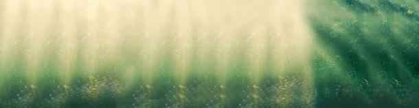 淘宝女包清新阳光照射背景banner