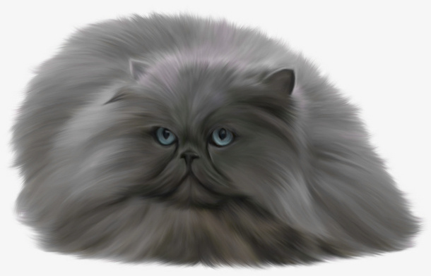 偷懒的慵懒的猫免抠