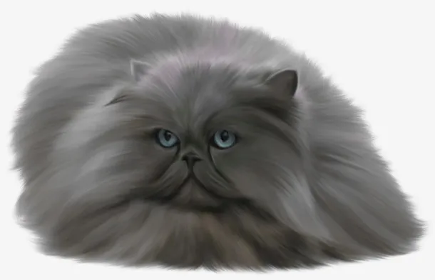 偷懒的慵懒的猫免抠