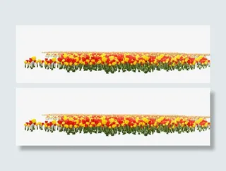 欢度七一建党节花坛免抠