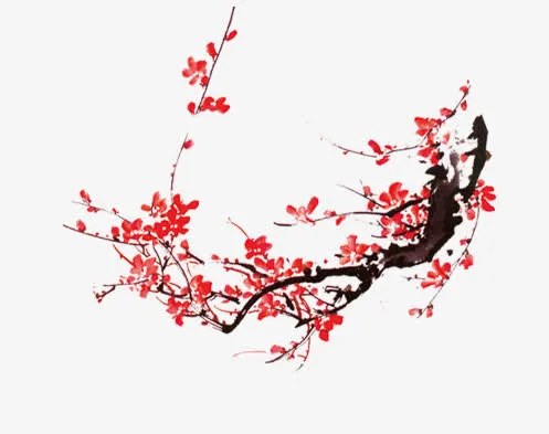梅花免抠