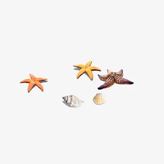 海星星图案免抠