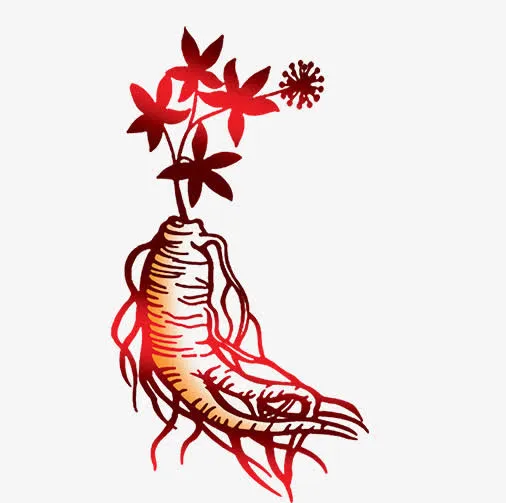 手绘卡通人参草药免抠