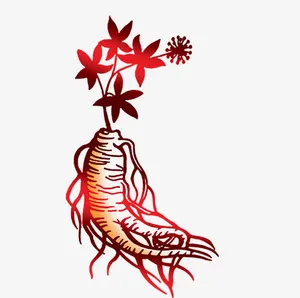 手绘卡通人参草药免抠