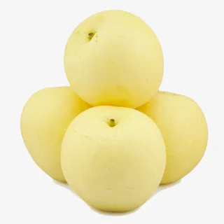 河北黄金冰糖梨免抠