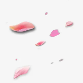 花瓣免抠