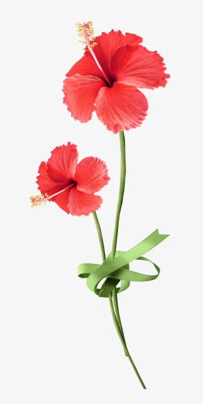 花免抠