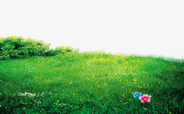 绿色小花草坪边框纹理免抠