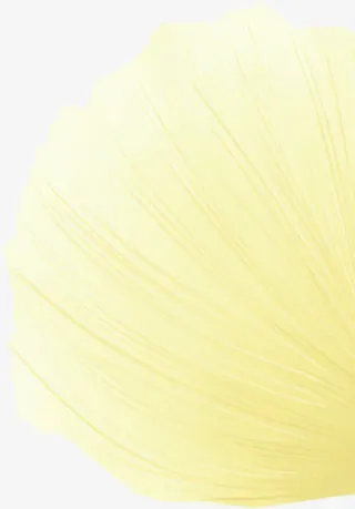 花瓣黄色花瓣透明花瓣免抠