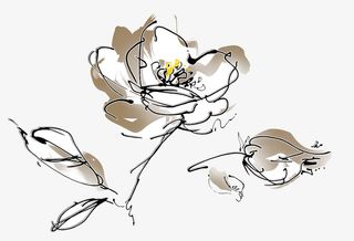 国风手绘木棉花免抠