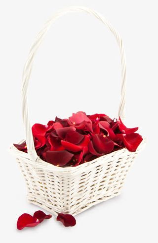 蓝子玫瑰花瓣免抠