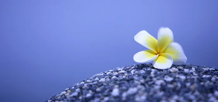 清新文艺简约鸡蛋花蓝天石头地板spa瑜伽背景高清