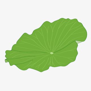 卡通荷叶插画装饰图案免抠