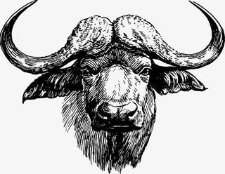 素描罗马斗牛牛头免抠