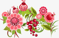 花鸟免抠