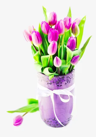 一捧郁金香免抠