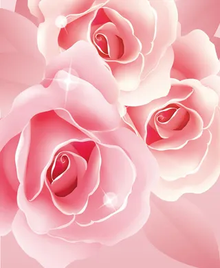 梦幻玫瑰花卉免抠