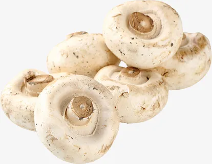 口蘑，蘑菇，菌菇免抠