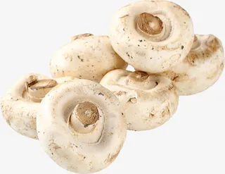 口蘑，蘑菇，菌菇免抠