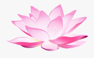 一朵精美的手绘大莲花插画素材免抠