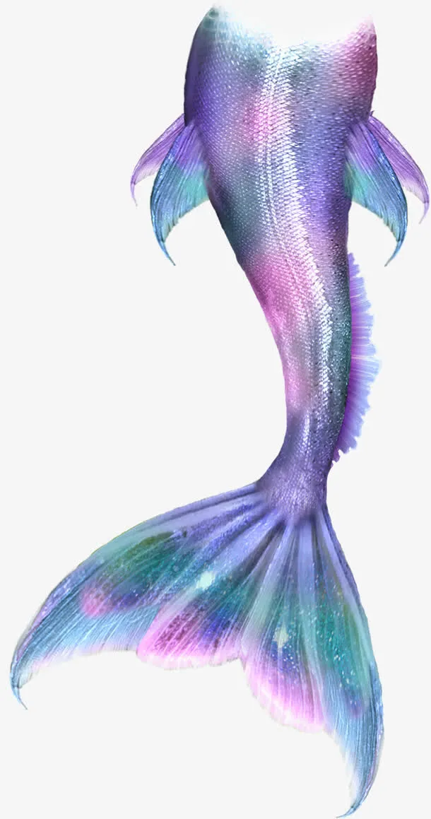 美人鱼 尾巴免抠