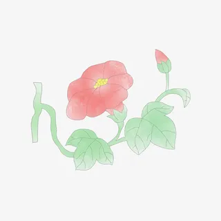 手绘荷花精美元素免抠