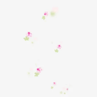 白色花瓣水红色花瓣绿色叶子免抠