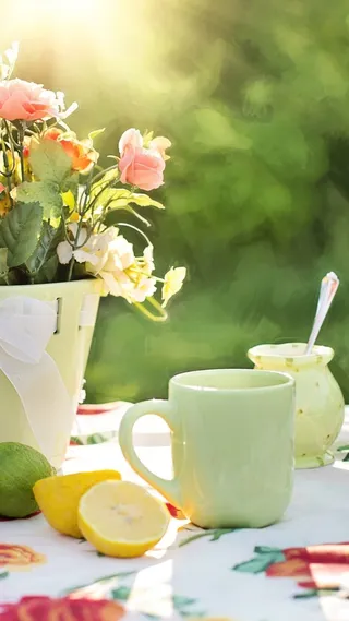 小清新简约手机H5背景高清