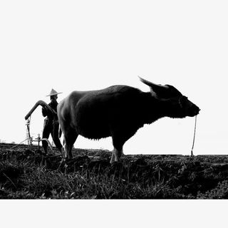 辛苦的农民免抠