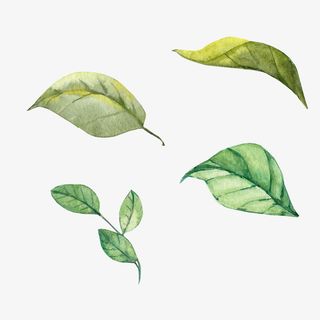 春天手绘翠绿色叶子装饰免抠