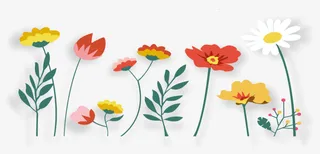 手绘清新唯美花草装饰 边框免抠