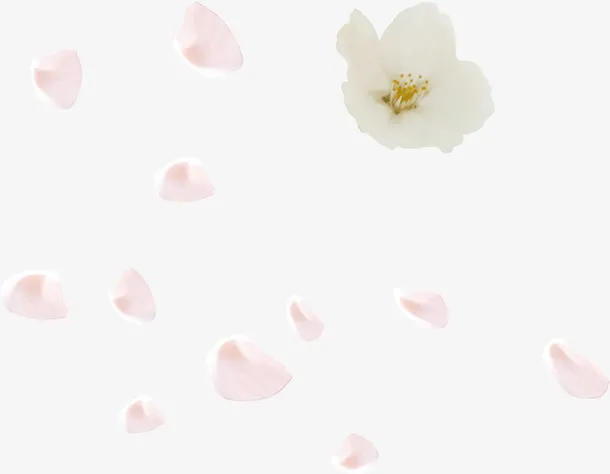 白色浪漫婚庆花朵花瓣免抠