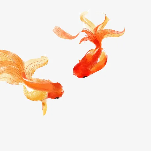 金鱼水墨画素材图片免抠