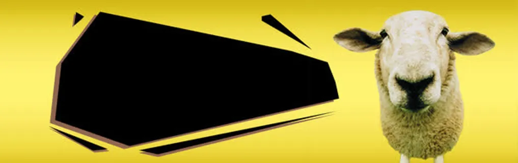 banner  banner轮播