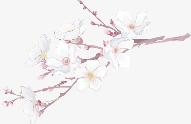 一枝桃花免抠