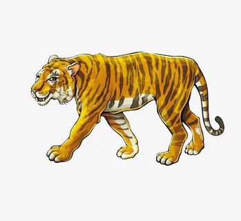 老虎素材免抠