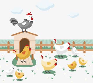 生机勃勃的养鸡场免抠