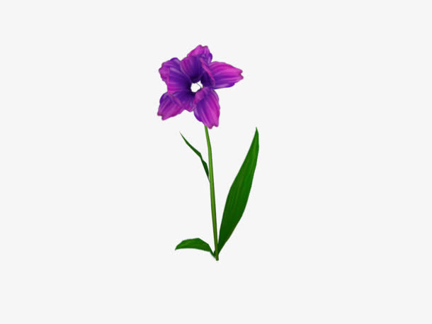 奇花异草 免扣png素材免抠